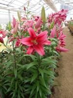 [4155 Believe Mak No201.JPG]